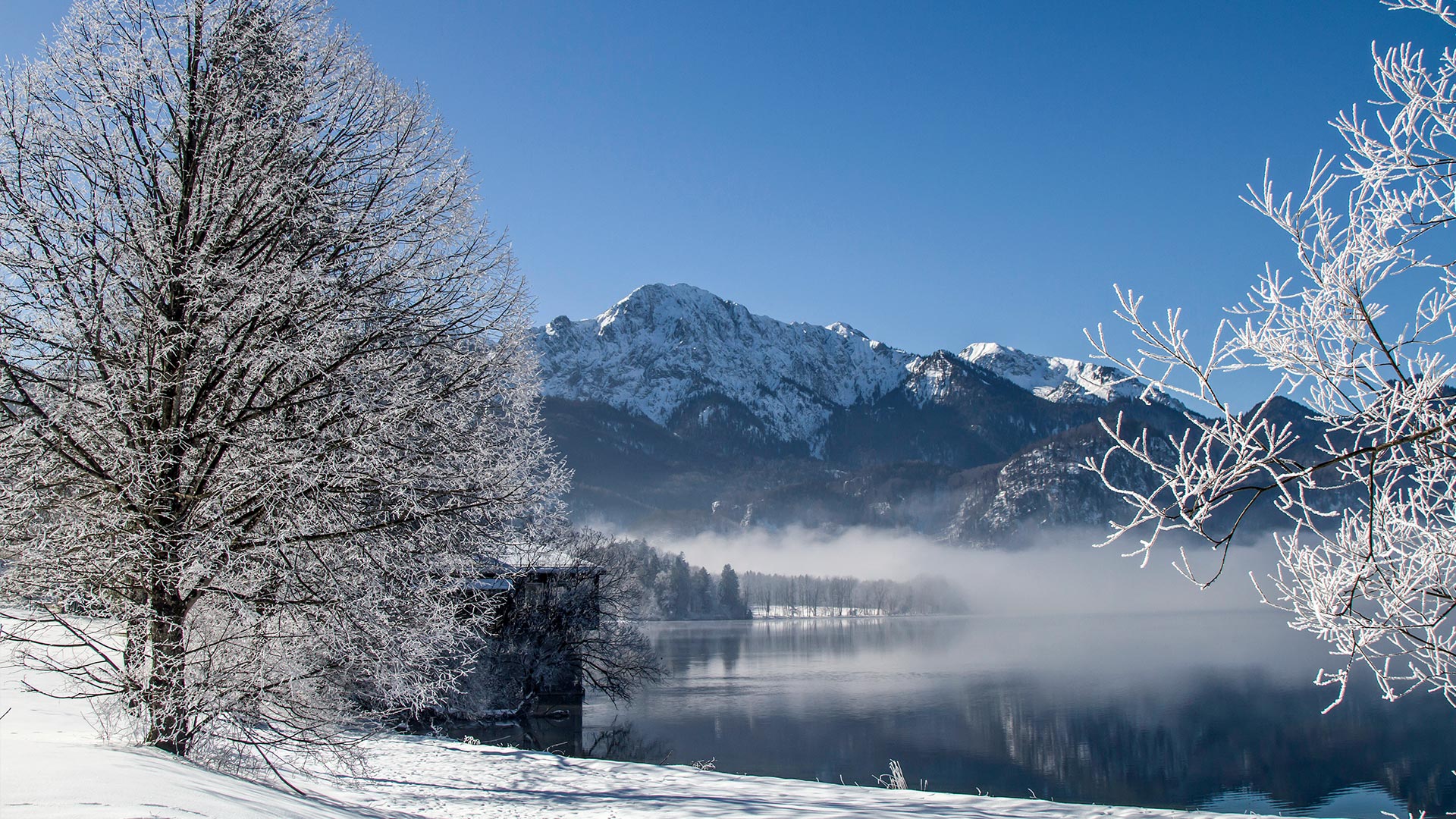 Zauberhafte Winterlandschaft am Ufer des Kochelsees im Zwei-Seen-Land mit verschneiten Berggipfeln und Bäumen bei Sonnenschein